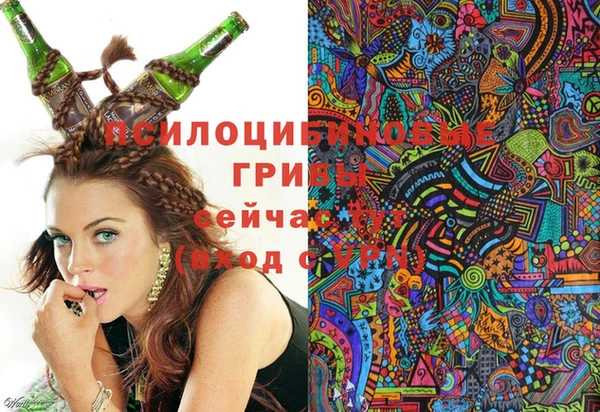 гашик Алзамай
