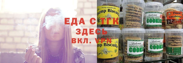 гашик Алзамай