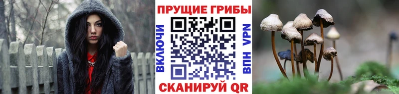 Галлюциногенные грибы мухоморы  кракен онион  Дмитриев  где купить наркоту 